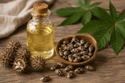 Bottle of castor oil next to raw castor beans, showing the source of this old home remedy - thelostpie
